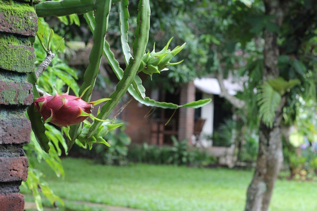 Timbis Homestay Bali Nusa Dua  Exterior photo